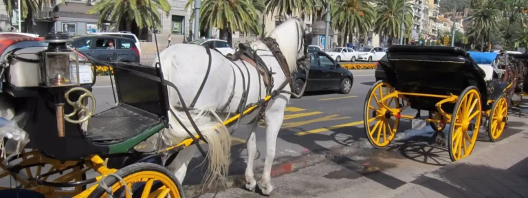 En Málaga los coches de caballo continuarán hasta 2035